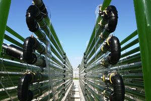 Viabilidad de la tecnología de membranas para el pre-cosechado de microalgas en dos sistemas de cultivo. Aplicación para el tratamiento del agua residual urbana.