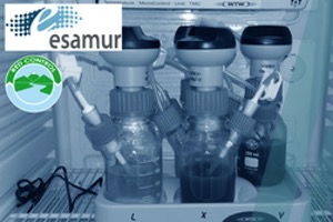 Estudio del efecto de inhibidores de la actividad sulfato reductora en bacterias anaerobias como sistema de minimización de la producción de olores sépticos en aguas residuales