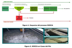 Estudios de determinación de biomasa desnitrificante mediante FISH en sistema anóxico de lecho móvil