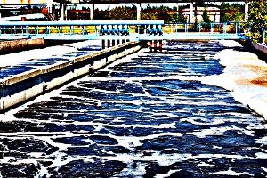 Tratamiento de contaminantes emergentes en sistemas de tratamiento de aguas residuales y lodos