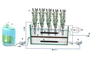 Acoplamiento de celdas microbiológicas de combustible en humedales artificiales para depuración de aguas residuales