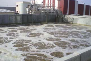 Últimas tecnologías en depuración biológica de aguas residuales en la industria agroalimentaria