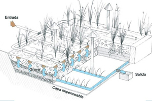 Humedales artificiales como sistemas naturales de depuración de aguas residuales. Conceptos e historia.
