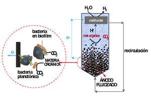 Reactores de lecho fluidizado electroquímicos microbianos: ecoinnovación en el tratamiento de aguas industriales