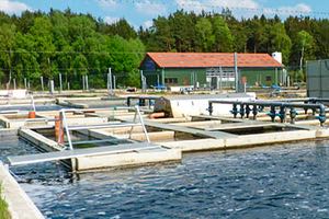 Óptimas condiciones del agua en instalaciones de acuicultura con las bombas Flygt