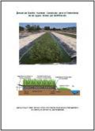 Diseño de Humedal Construido para el Tratamiento de las Aguas Grises por Biofiltración