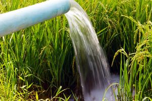 El consumo mundial del agua y la sustentabilidad