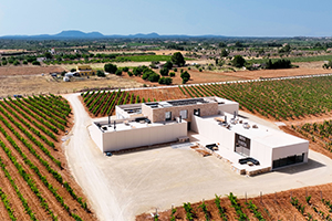Depuración y reutilización del agua en la bodega BiniVista de Mallorca con soluciones ACO