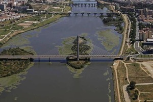 El camalote está controlado en todos los tramos del río Guadiana tras 15 años de lucha y 50 M€ de inversión