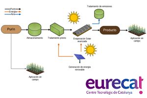 Investigan el uso de la evaporación solar para solucionar la gestión de los purines