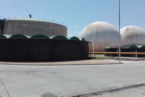 El MITECO saca a información pública la propuesta de Hoja de Ruta del Biogás en España