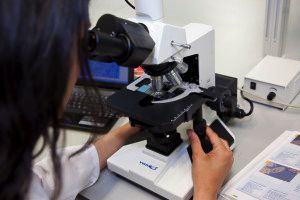 CETENMA lanza un curso de Análisis y Discusión Macroscópica y Microscópica de Fangos Activos