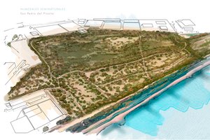 Los humedales seminaturales del MITECO para el Mar Menor con 52 M€ de inversión, cuentan ya con "declaración ambiental favorable"