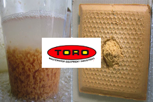 Sequedad en las tortas de fango de un filtro prensa Draco® de Toro