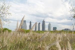 Día Mundial de los Humedales: Las urbes latinoamericanas deben retomar la armonía con los humedales