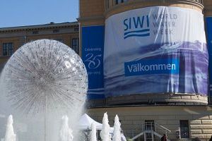 Finaliza la Semana Mundial del Agua: los valores del agua deben ser mejor entendidos
