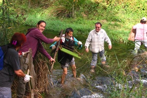 El Magrama apoya más de 30 actividades de voluntariado para la conservación de playas y ríos