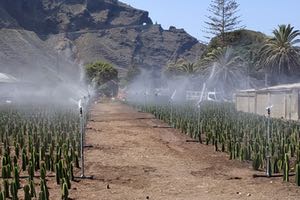 El uso del agua regenerada en Tenerife es "imprescindible" para un desarrollo agrícola eficaz