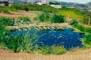 El BID publica un informe sobre el valor del conocimiento y la tecnología empleada en Canarias para superar la escasez de agua