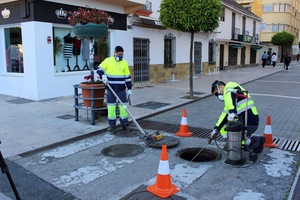 Estepona en Málaga inicia un plan de desinsectación y desratización que actuará en 240 km de la red de alcantarillado