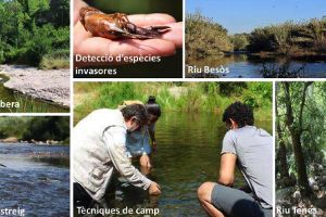 Conoce la evolución de los sistemas de saneamiento en la cuenca del Besòs y su mejora al implantar las EDAR