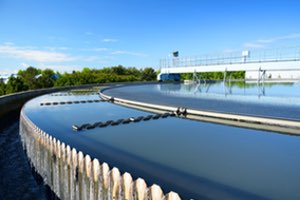 Coagulantes de origen vegetal para el tratamiento de aguas residuales