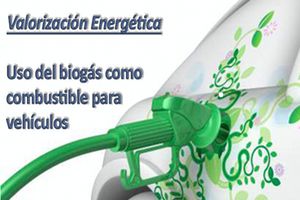 Valoración energética del Biogás para la automoción