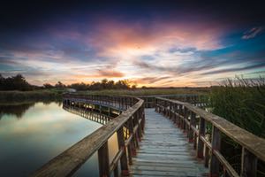 El Gobierno subvencionará con 12 M€ la digitalización del ciclo urbano del agua en el entorno de Las Tablas de Daimiel