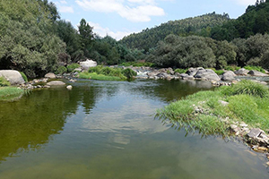 Xunta, CH del Duero y la M. de Verín avanzan para cofinanciar el estudio para la mejora del saneamiento del río Támega