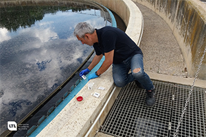 RestWat, el proyecto que investiga la resistencia a antibióticos de las bacterias presentes en las aguas residuales y depuradas