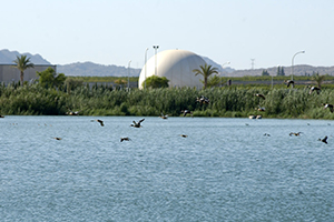 Depuradoras de la Región de Murcia suministran agua tratada y regenerada para mantener diversos humedales