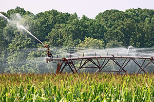 Gestión de riesgos del uso de agua regenerada para riego agrícola