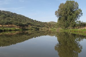 La CH del Guadalquivir asegura que no existen vertidos de agua desde la mina de Aznalcóllar a la cuenca del Guadiamar