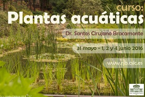 El conocimiento de las plantas acuáticas españolas, a través de un curso del Real Jardín Botánico