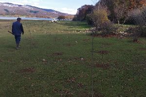 La Diputación de Álava planta un filtro verde en las orillas del embalse Ullíbarri-Gamboa que mejorará la calidad del agua