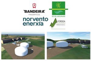 Frigoríficos Bandeira, en colaboración con Norvento, Ecolagunas y Foresga, promueve un centro de valoración de residuos del sector cárnico