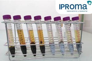 IPROMA desarrolla una técnica pionera para la determinación de microcontaminantes orgánicos en fangos de uso agrícola