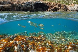 Más de 400 entidades acreditadas por ENAC ayudan a mejorar la protección del medioambiente y la preservación de la biodiversidad