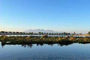 Mejorar la calidad del agua del lago de la Agulla: Medidas y retos en la lucha contra las floraciones de algas