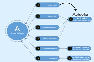 Fusión por absorción del Grupo Acideka