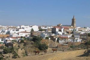 El MITECO licita la redacción del proyecto de mejora de saneamiento y depuración de Escacena del Campo en Huelva