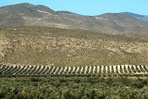 La Junta de Andalucía ratifica una sanción de 450.000 € por extracción ilegal de aguas subterráneas en Tabernas