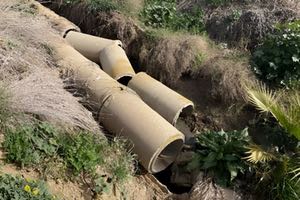 El MITECO eliminará cuatro vertidos urbanos que afectan a Doñana en Huelva