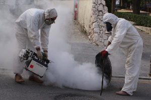 El Rincón de la Victoria en Málaga activa un plan de fumigación en la red de alcantarillado y saneamiento