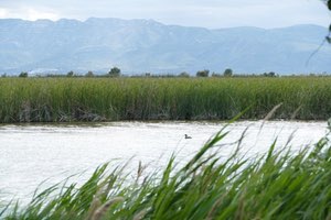 Objetivo para la próxima década: preservar los ecosistemas