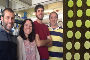Investigadores de la UAB diseñan un biosensor microbiano de papel para evaluar la toxicidad del agua