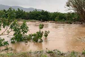 Otra consecuencia de las inundaciones: La dispersión y acumulación de contaminantes