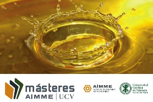VIELCA INGENIEROS entregará el premio al mejor expediente del Máster Universitario en Ingeniería del Tratamiento y Reciclaje de Aguas del AIMME-UCV