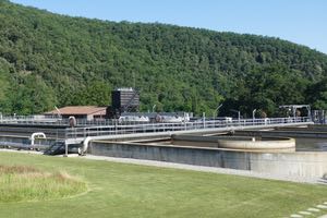 Cuidar de la biodiversidad para proteger nuestra salud en el Día Mundial del Medio Ambiente