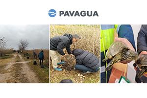 PAVAGUA celebró el "Día Mundial de los Humedales" en el Tancat de L'Illa (Valencia)